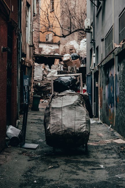 Avoid hidden rubbish removal fees in Knightsbridge what to know